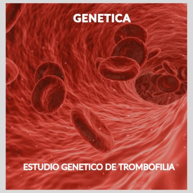 ESTUDIO GENETICO DE...